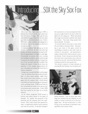 2000 Sky Sox baseball Yearbook