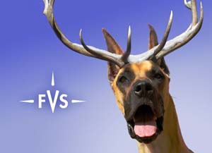 Fountain Valley School holiday card